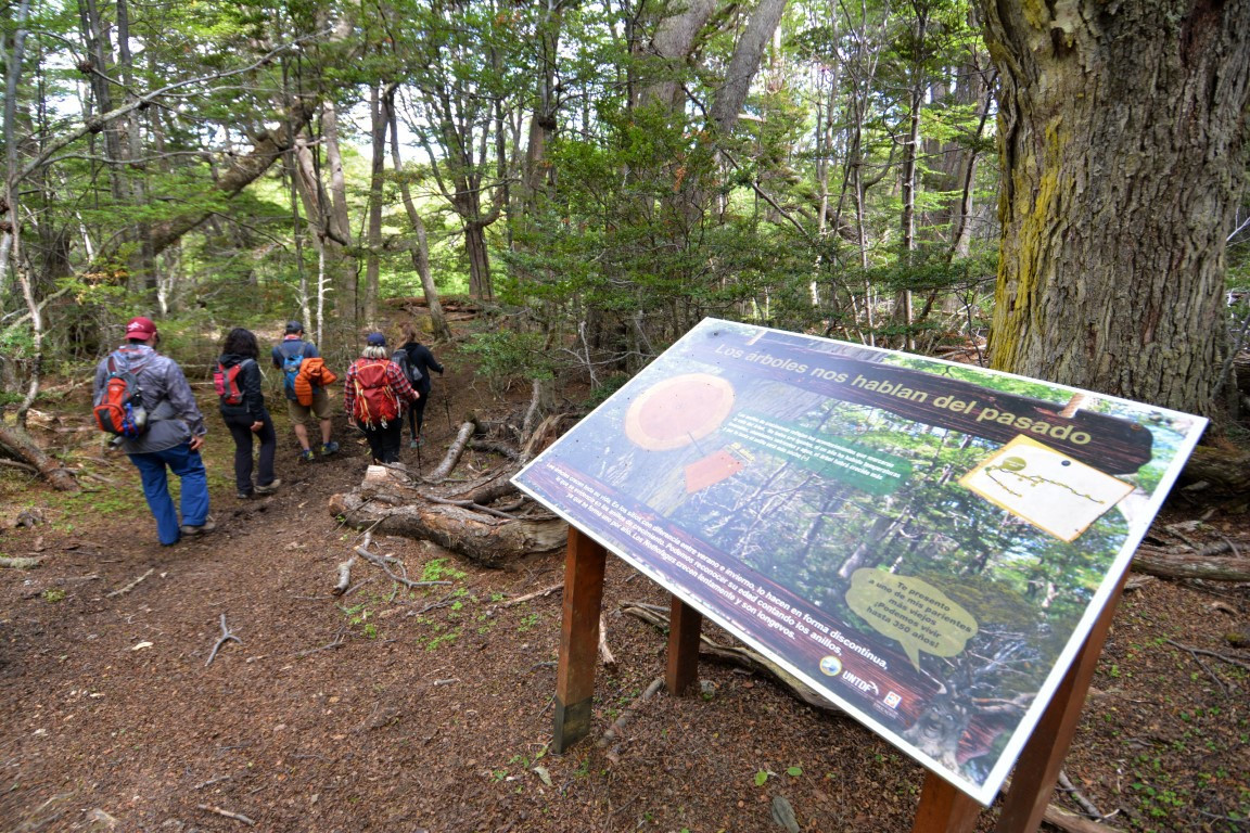 Photos of Cascada Río Pipo - Tierra Del Fuego, Argentina